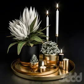 Decorative with potted plants